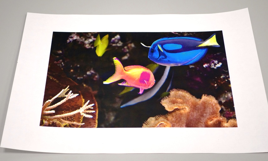 HP Color LaserJet MFP M477fdn_тест лист2