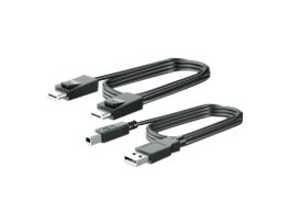 HP 300cm DP and USB B to A Cable
