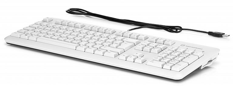 HP USB (Grey) SmartCard CCID Keyboard