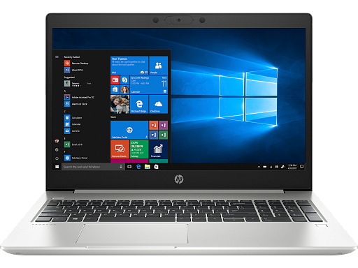 HP ProBook 455 G7 ()